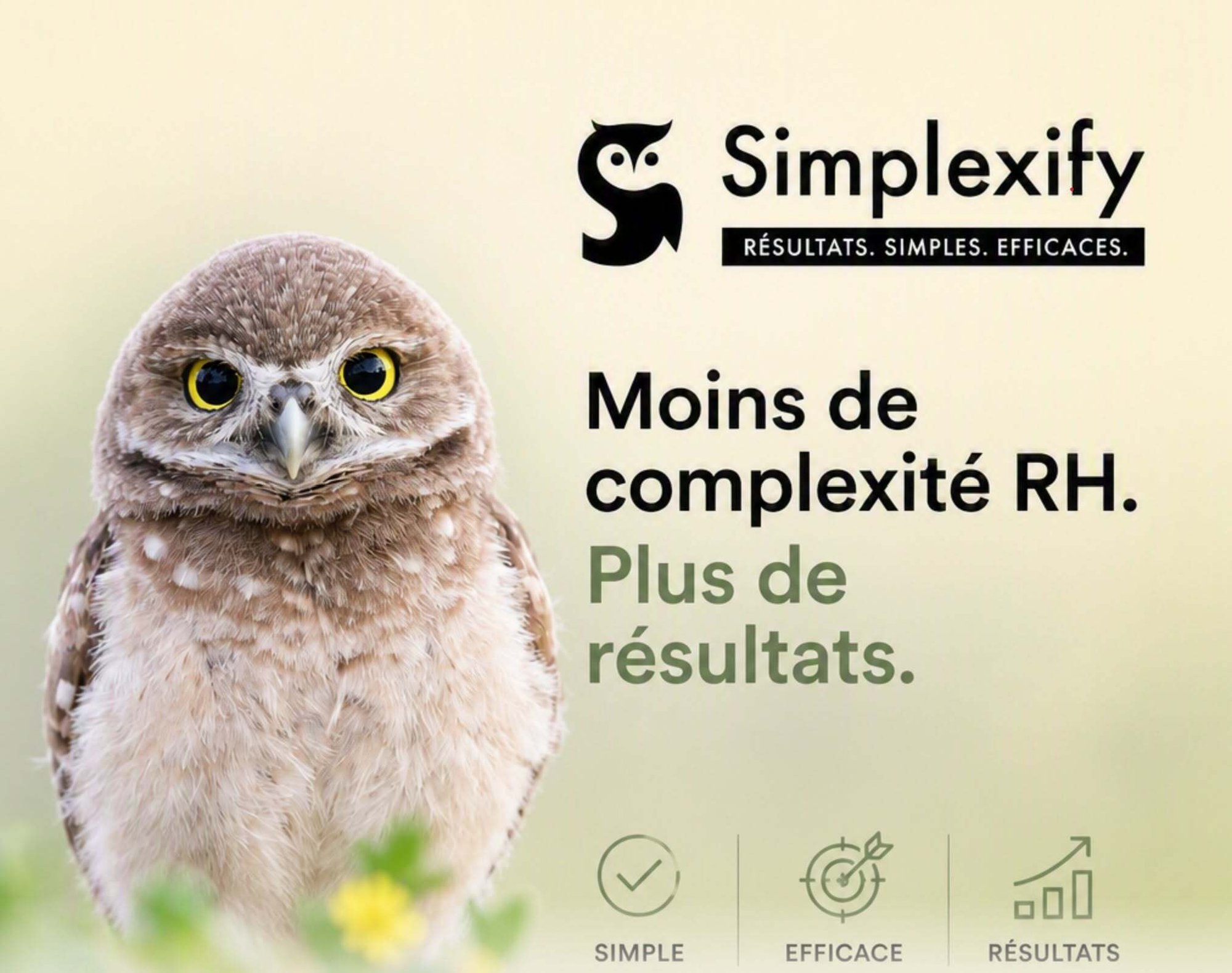 HIBOU